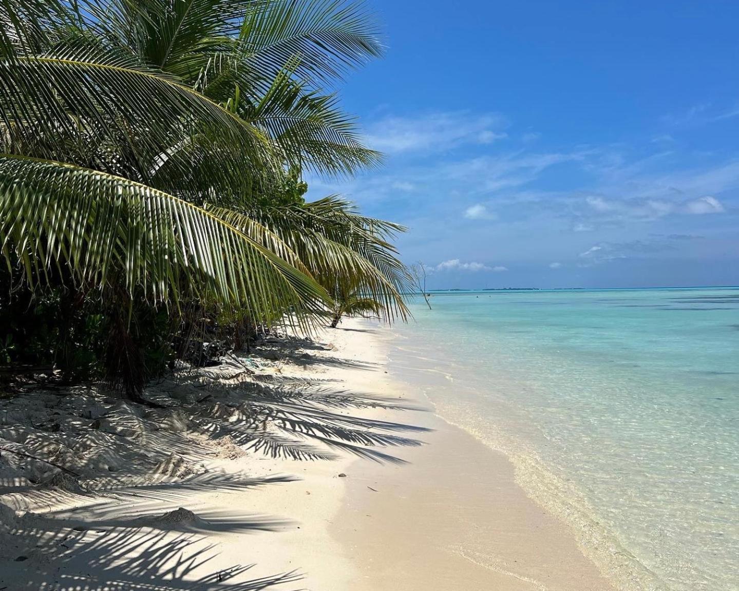 Heron Beach Hotel - The Best Maldivian Getaway In Dhiffushi,Maldives Dış mekan fotoğraf